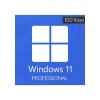 Windows 11 Professional - 100 Keys