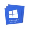 Microsoft Windows 11 Professional - 3 Keys