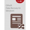 Gilisoft Data Recovery- 1 PC/ Lifetime