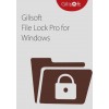 Gilisoft File Lock Pro - 1 PC/ Lifetime