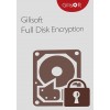 Gilisoft Full Disk Encryption