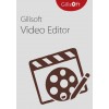 Gilisoft Video Editor Standard for Windows