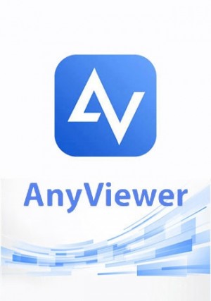 AnyViewer Pro - 1 Year