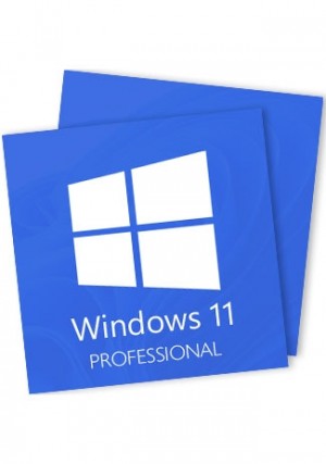 Microsoft Windows 11 Professional - 2 Keys