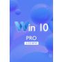 Win 10 Pro CD-KEY (2 keys)