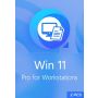Win 11 Pro for Workstations - 2 PCs