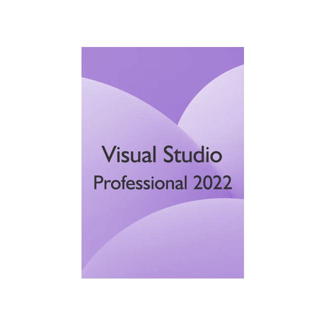 Visual Studio Pro 22 - 1 PC