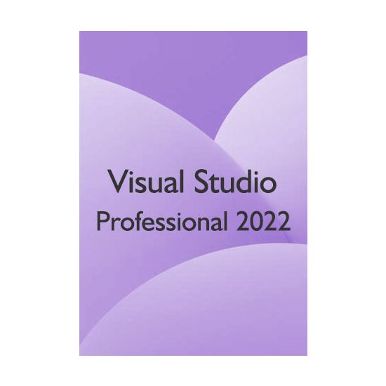Visual Studio Pro 22 - 1 PC