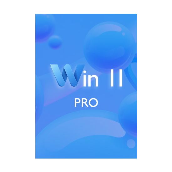 Win 11 Pro CD-KEY