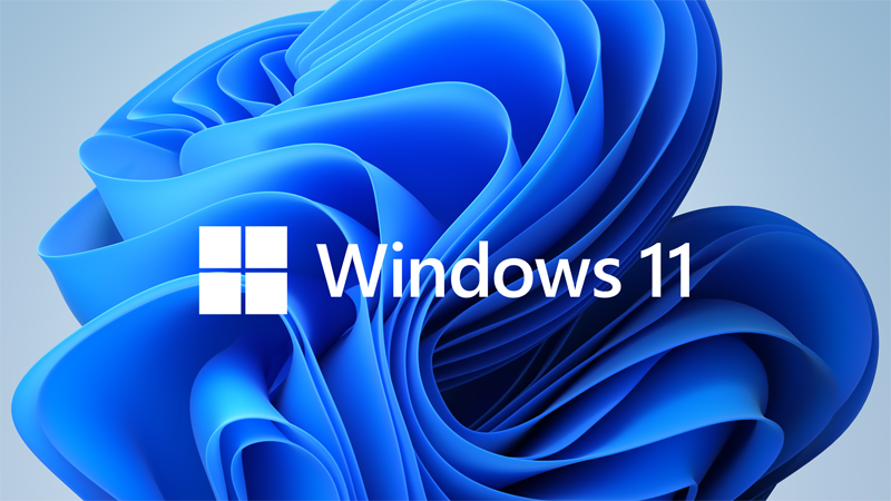 Buy and Download Windows 11 Home