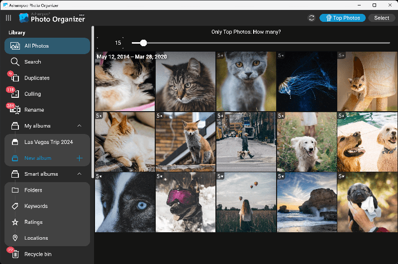 Buy Ashampoo Photo Organizer Pro 25 key